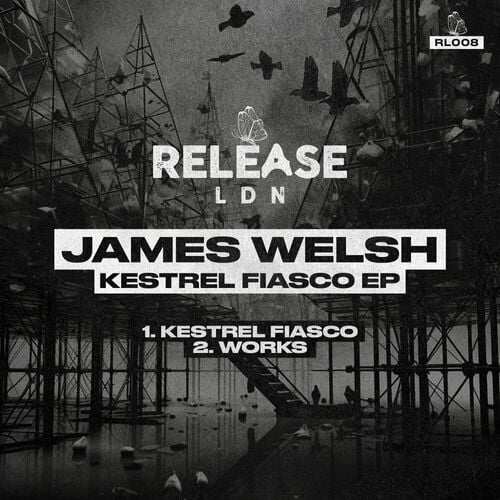 image cover: James Welsh - Kestrel Fiasco on ReleaseLDN