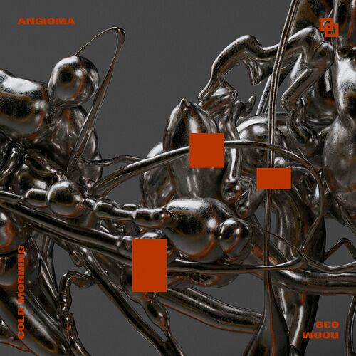 image cover: Angioma - Cold Morning on Room Trax