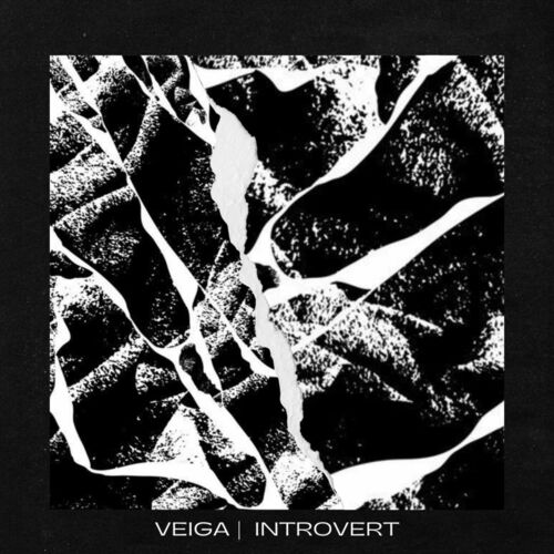 Release Cover: Introvert EP Download Free on Electrobuzz