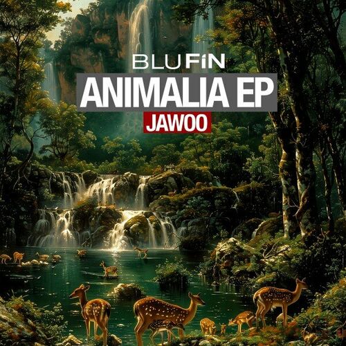 image cover: Jawoo - Animalia on Blu Fin Records