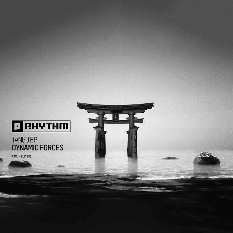 image cover: Dynamic Forces - Tango EP on Planet Rhythm