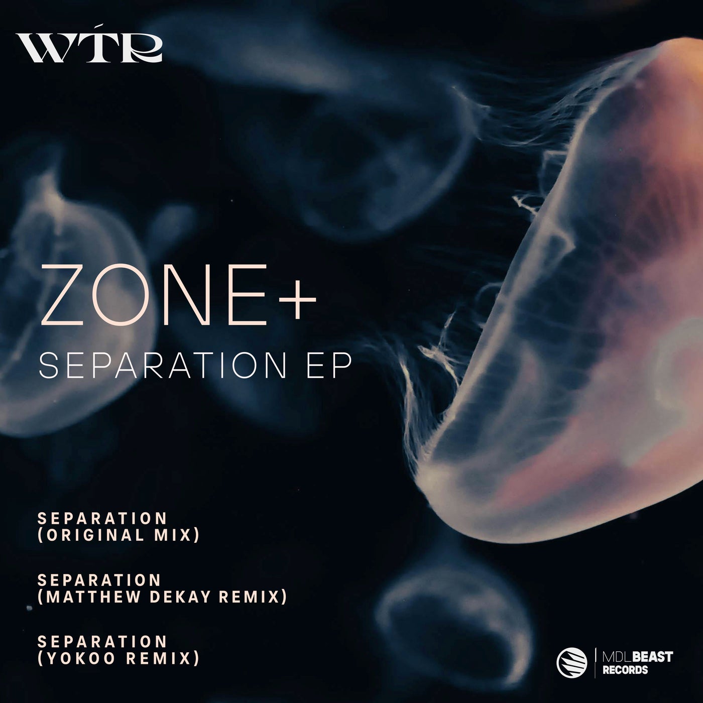 image cover: Zone+ - Separation on MDLBEAST Records