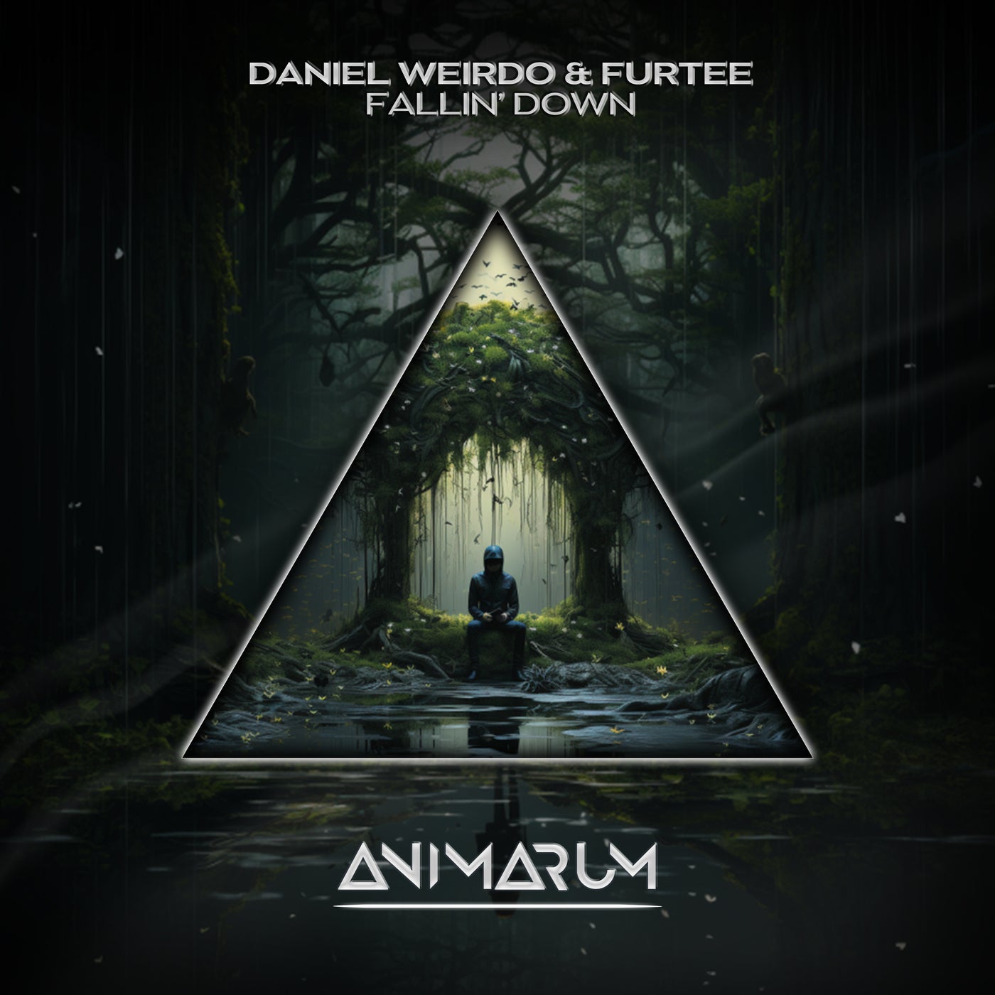image cover: Furtee, Daniel Weirdo - Fallin' Down on Animarum Recordings