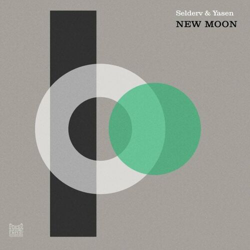image cover: Selderv - New Moon on Poker Flat Recordings