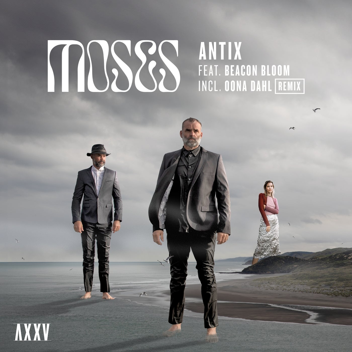 image cover: Antix, Beacon Bloom - Moses on Iboga Records