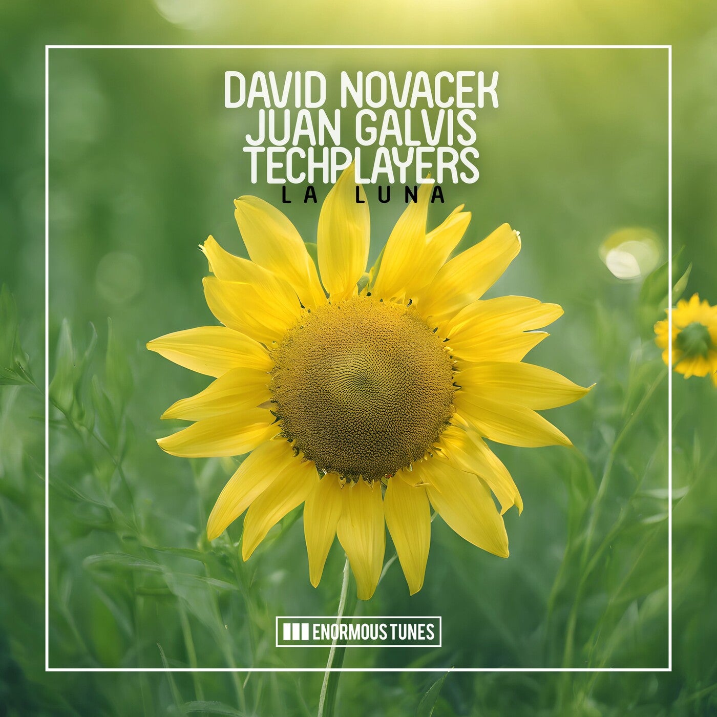 image cover: Techplayers, David Novacek, Juan Galvis - La Luna on Enormous Tunes