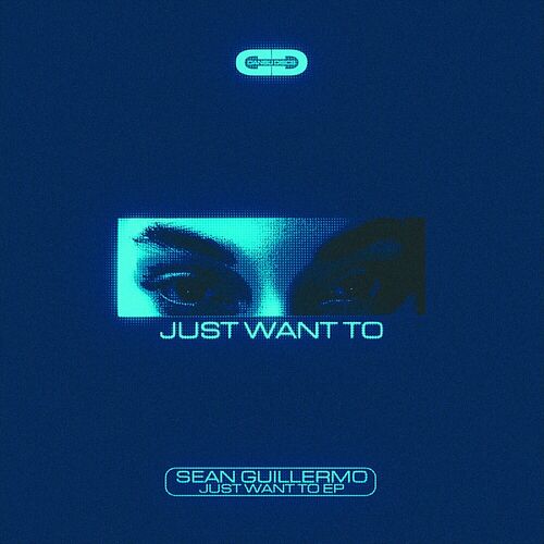 image cover: Sean Guillermo - Just Want To EP on Dansu Discs