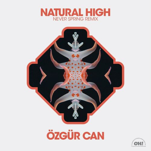 Release Cover: Natural High Never Spring Remix Download Free on Electrobuzz