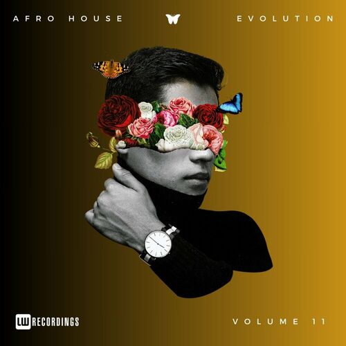 image cover: Various Artists - Afro House Evolution, Vol. 11 on LW Recordings