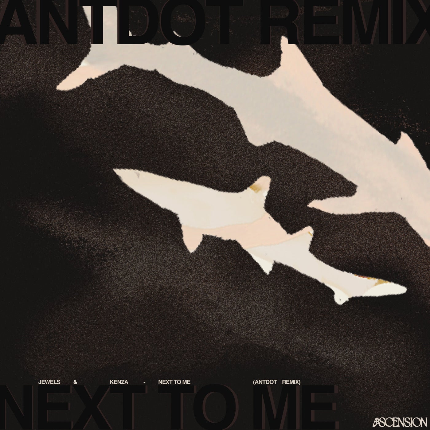 image cover: JEWELS, Kenza, LE YORA - Next To Me - Antdot Remix on Ascension Label