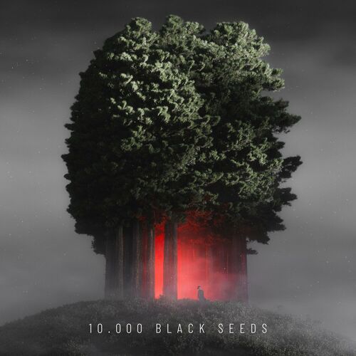 image cover: Bjoern Torwellen - 10.000 Black Seeds on Nachtstrom Schallplatten