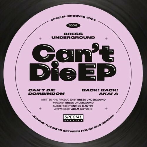image cover: Bress Underground - Can't Die on Special Grooves