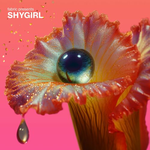 Release Cover: fabric presents Shygirl (DJ Mix) Download Free on Electrobuzz