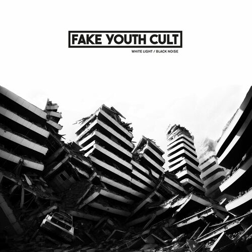 image cover: Fake Youth Cult - White Light / Black Noise on Shipwrec