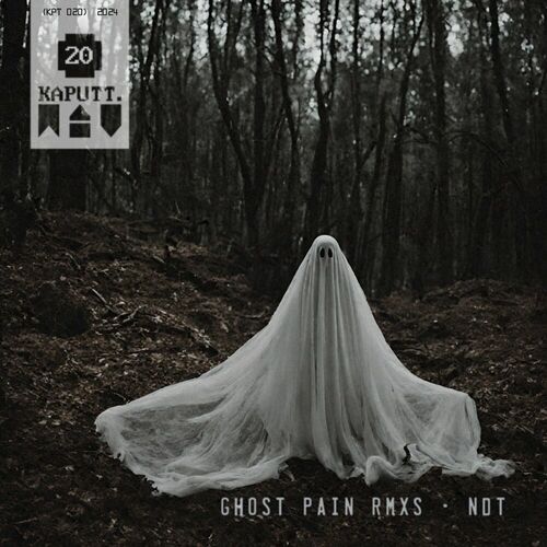 Release Cover: GHOST PAIN RMXS Download Free on Electrobuzz