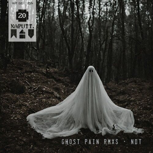 image cover: Nuclear Digital Transistor - GHOST PAIN RMXS on Kaputt.wav