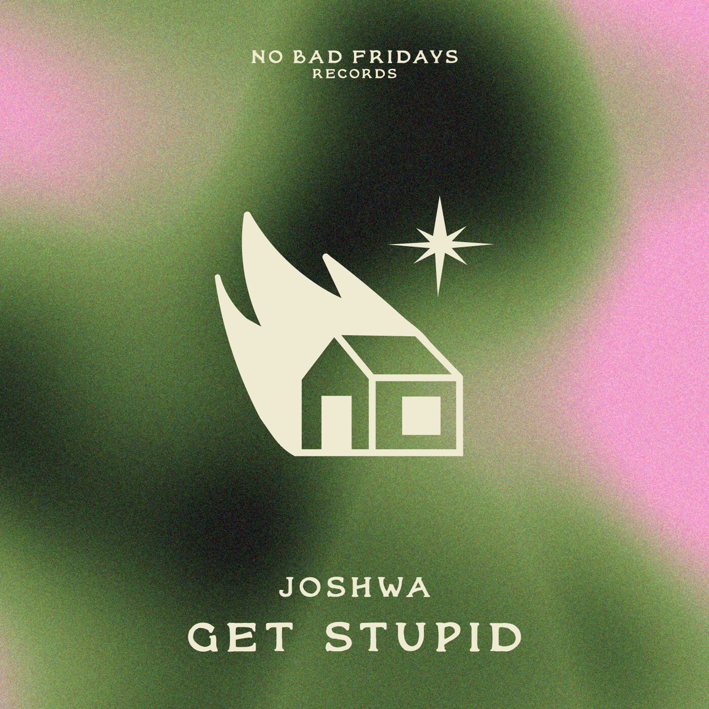 image cover: Joshwa - Get Stupid on No Bad Fridays Records