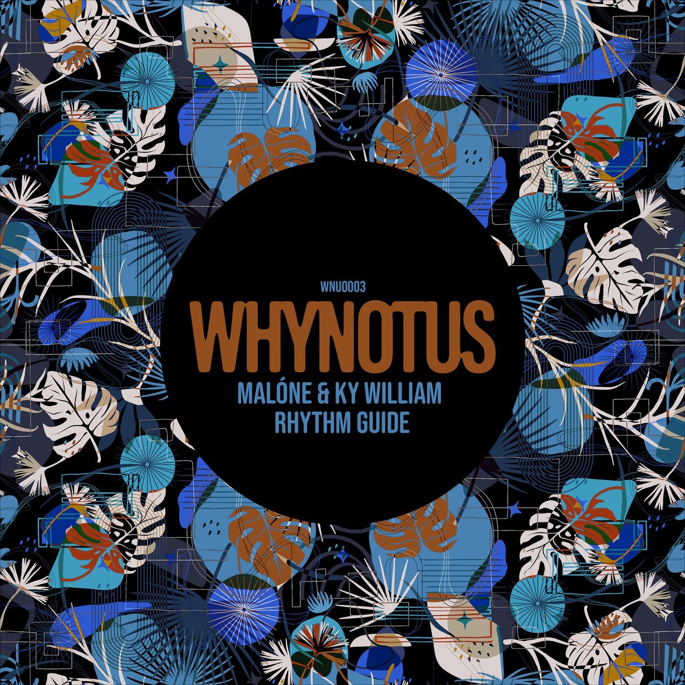 image cover: Malone, Ky William - Rhythm Guide on WHYNOTUS