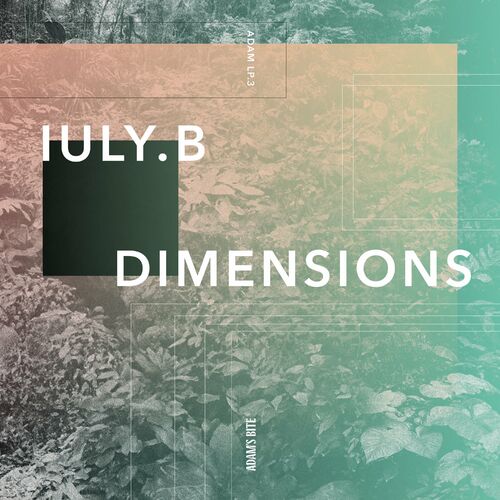 image cover: Iuly.B - Dimensions on Adam's Bite