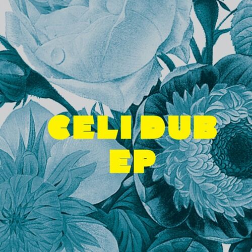 image cover: Alexkid - Celi Dub EP on Rekids