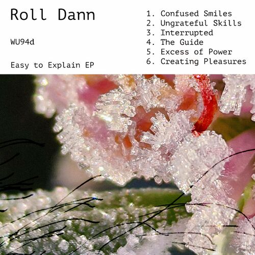 image cover: Roll Dann - Easy To Explain EP on Warm Up Recordings