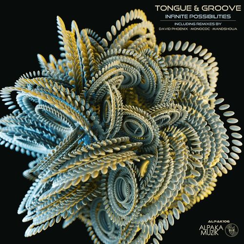image cover: Tongue & Groove - Infinite Possibilities on AlpaKa MuziK