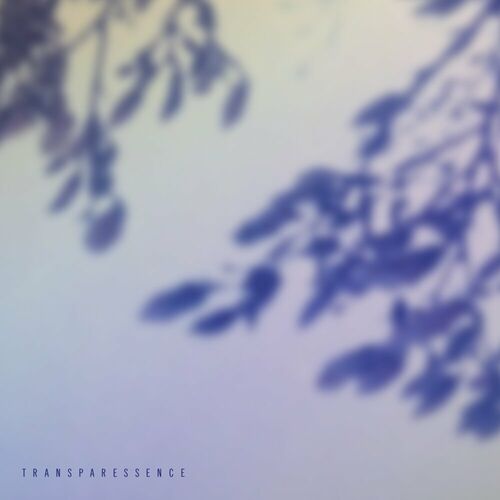 Release Cover: Transparessence Download Free on Electrobuzz