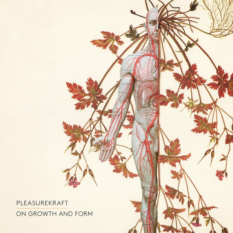 image cover: Pleasurekraft - On Growth and Form on Kraftek