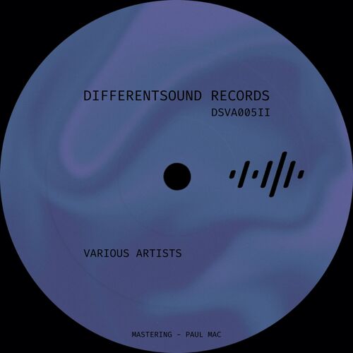 image cover: Various Artists - DSVA005 II on DifferentSound