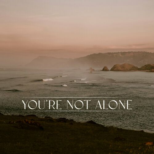 image cover: Punctual - You're Not Alone (&friends Remix) on Radiance Records (UK)
