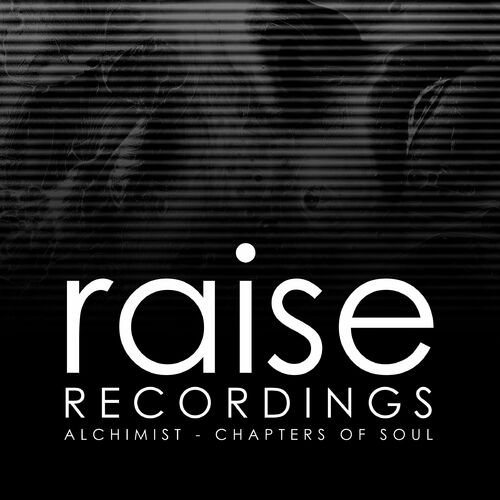 image cover: Alchimist - Chapters Of Soul on Raise Recordings