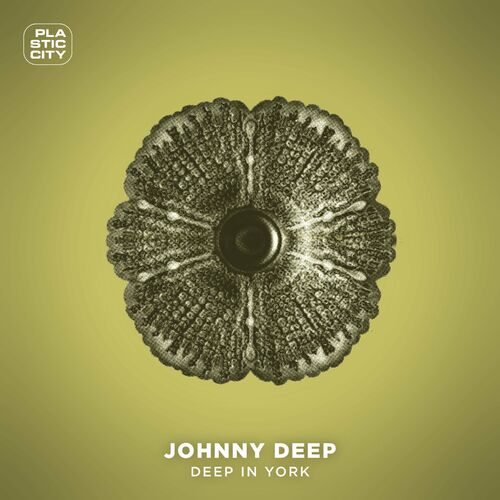 image cover: Johnny Deep - Deep in York on Plastic City