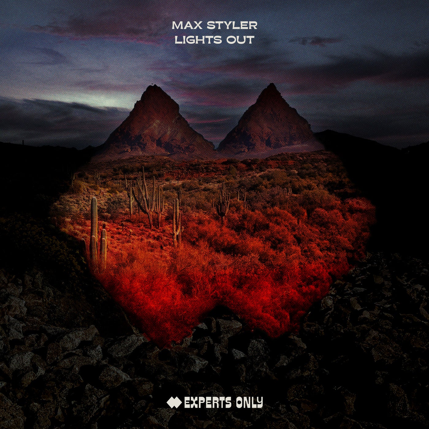 image cover: Max Styler - Lights Out - Extended Mix on Experts Only