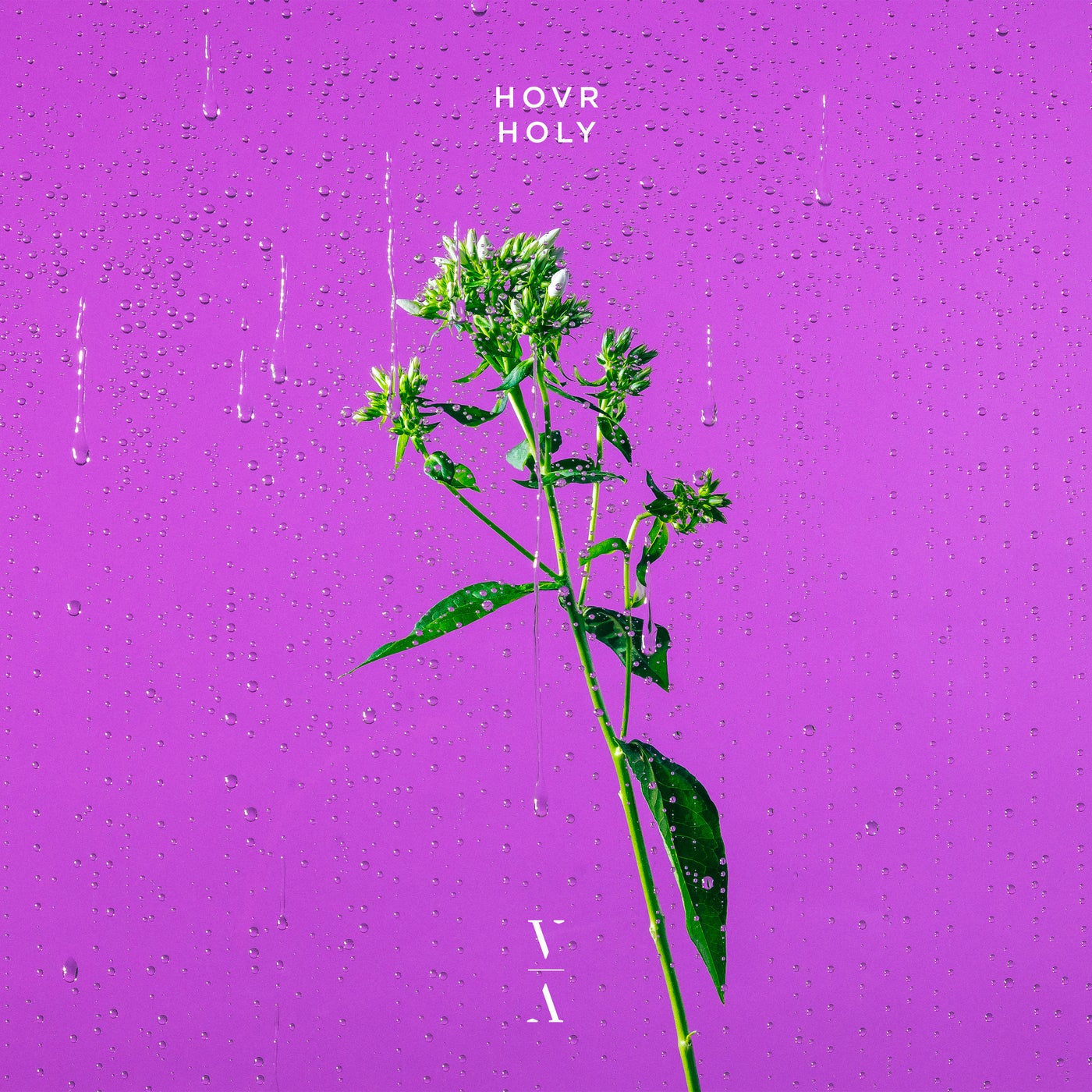 image cover: HOVR - Holy on This Never Happened