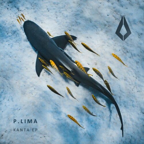 image cover: P.Lima - Kanta on Purified Records