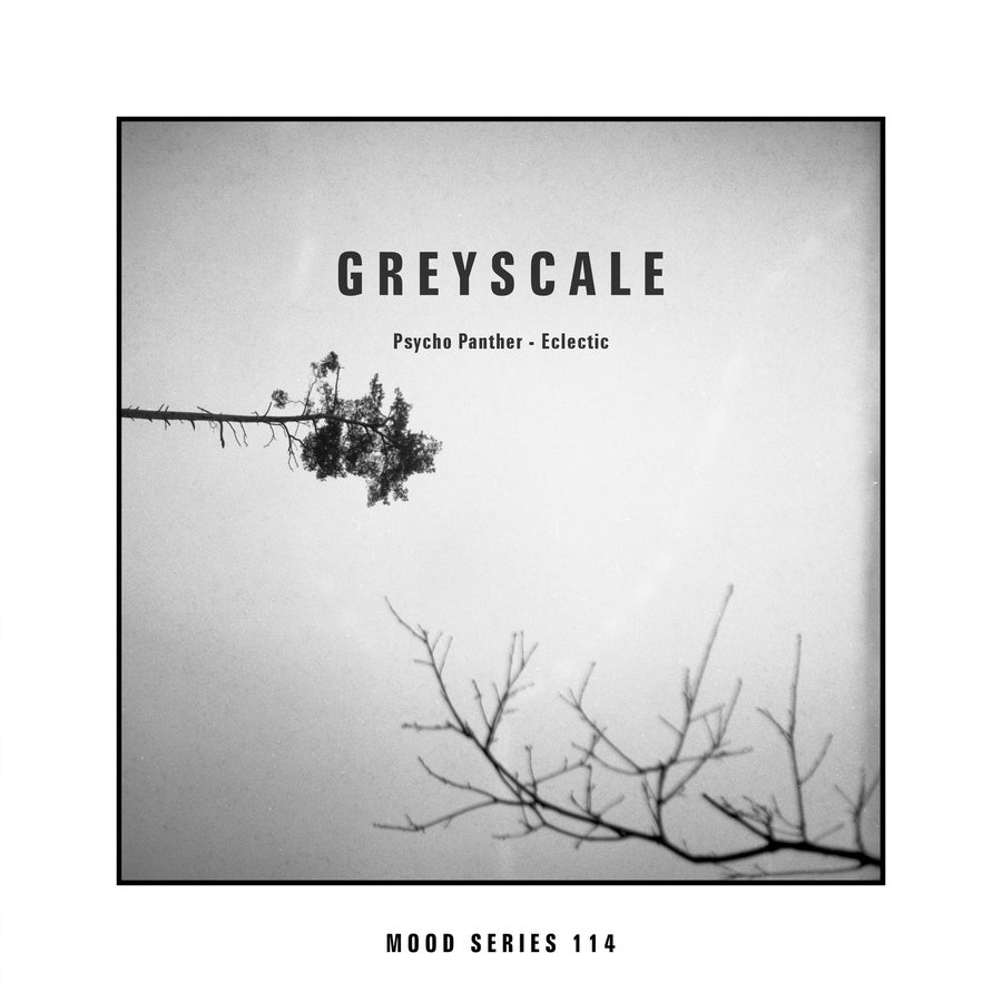 Release Cover: Eclectic Download Free on Electrobuzz