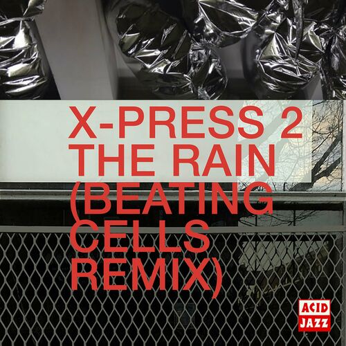 Release Cover: The Rain (Beating Cells Remix) Download Free on Electrobuzz