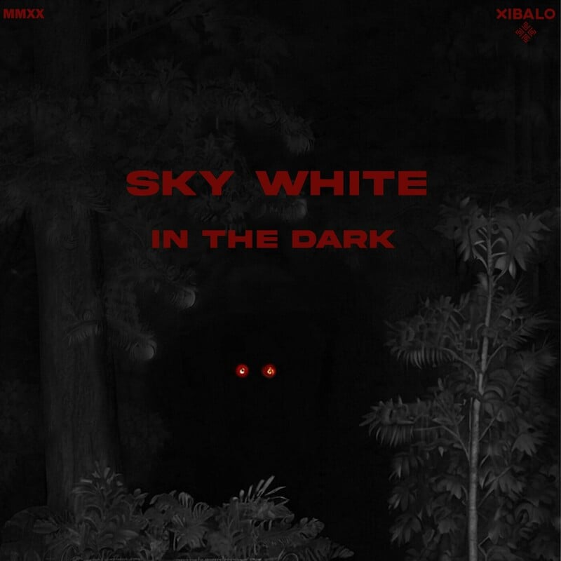 Release Cover: In the Dark Download Free on Electrobuzz