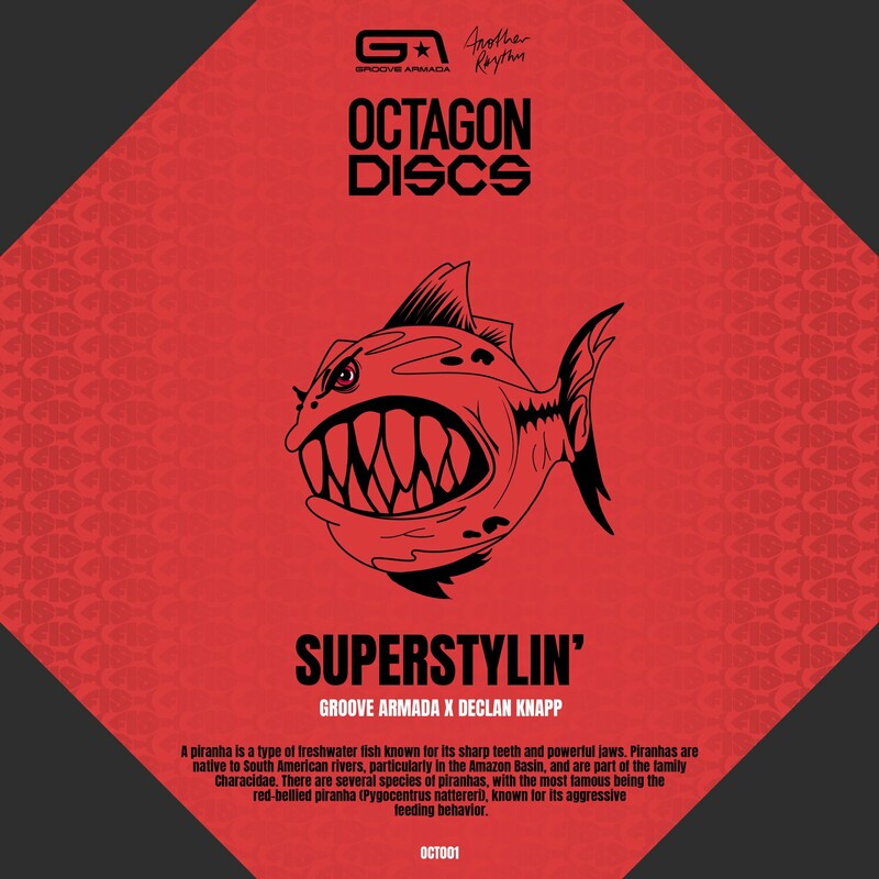 Release Cover: Superstylin' Download Free on Electrobuzz