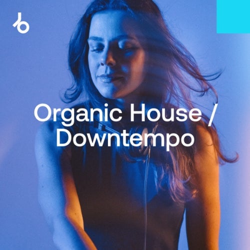 Cover Image for Beatport - Hype Chart Toppers 2024: Organic H / D