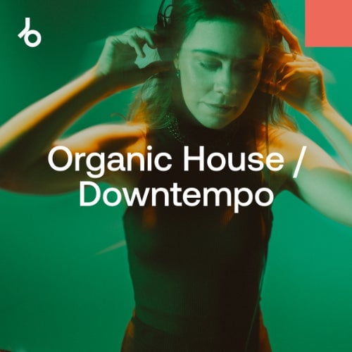 Cover Image for Beatport - Curation Best of 2024: Organic H / D