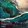 Cover Image for Distant Waves Ranj Kaler Remix