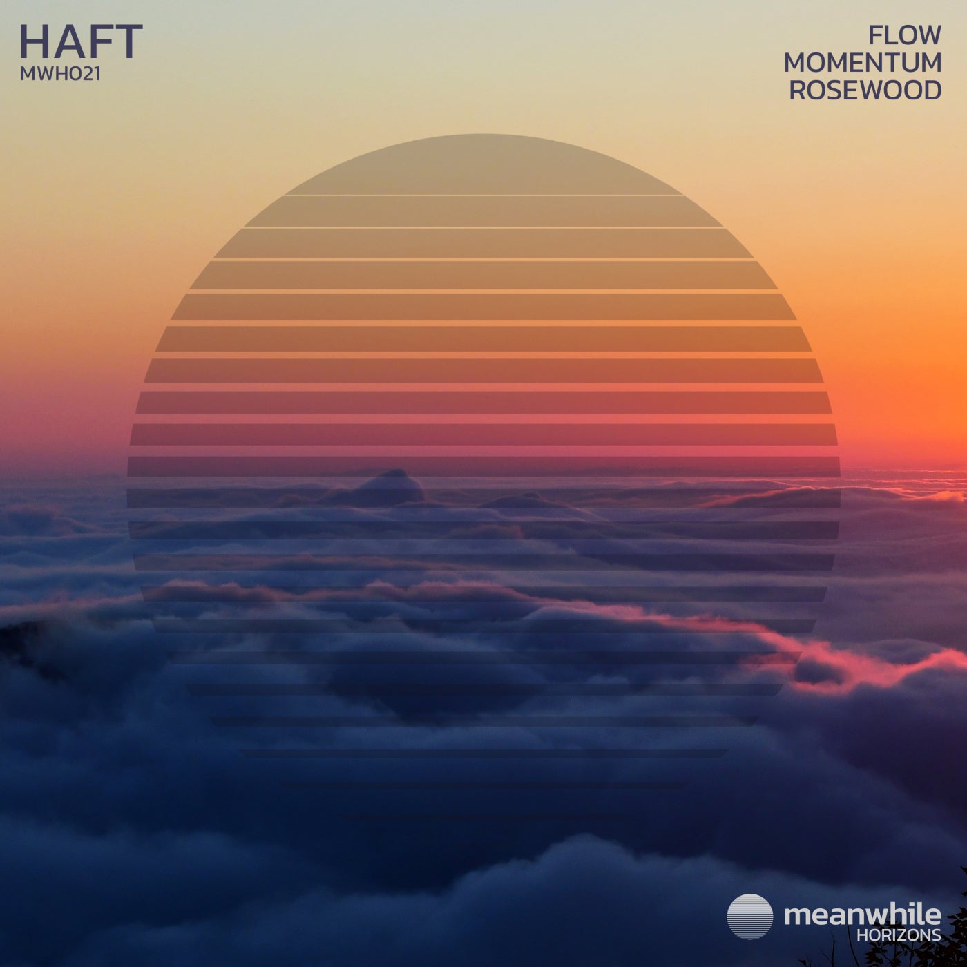 Cover Image for HAFT - Flow / Momentum / Rosewood on Meanwhile Horizons