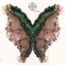 Cover Image for Ambifoco feat. Verico Original Mix