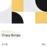 Cover Image for Crazy Bongo Radio Edit
