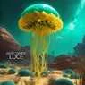 Cover Image for Luce Original Mix
