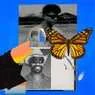 Cover Image for Butterflies Extended Mix
