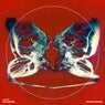 Cover Image for Tendencies Of Liberation Original Mix
