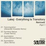 Cover Image for Transmigration Alexander Kowalski Remix