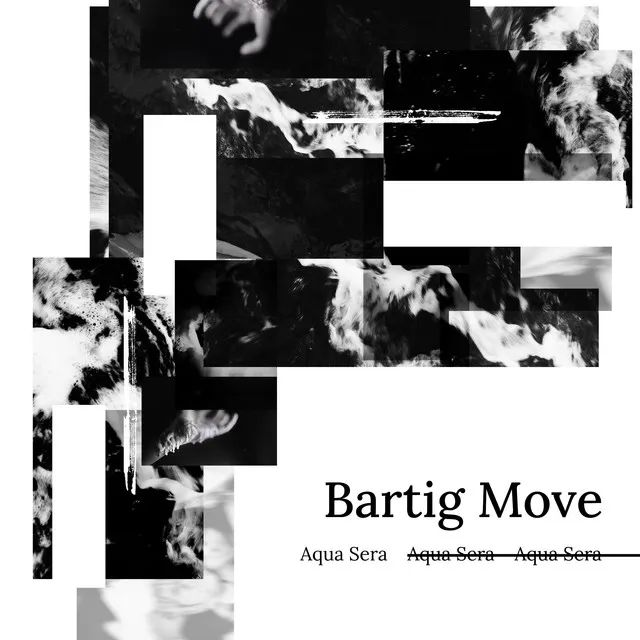 Bartig Move
